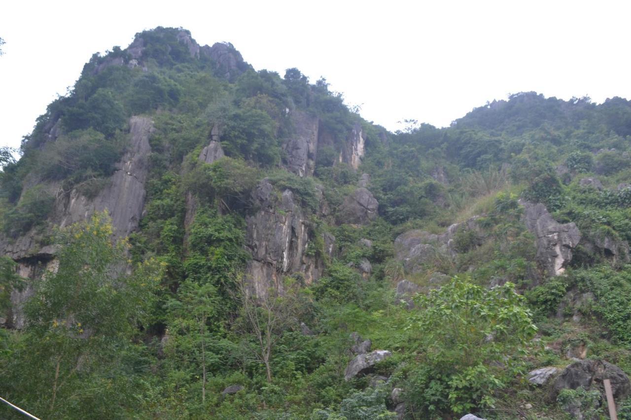 Phong Nha Homestay ภายนอก รูปภาพ